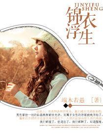 锦衣浮生封面