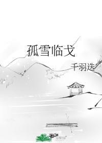 孤雪临戈封面