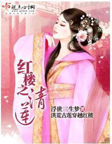 红楼之清莲封面