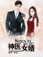 神医女婿封面