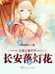 王者之看不尽长安落灯花封面