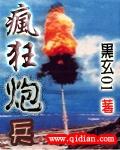 疯狂炮兵封面