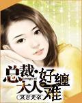 总裁大人好难缠封面