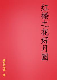 红楼之花好月圆封面