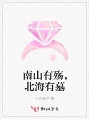 南山有殇，北海有墓封面