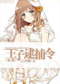 [家教]王子逮捕令封面