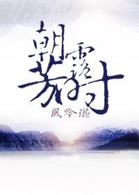 朝露芳时封面