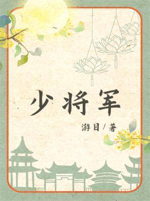 少将军封面
