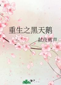 重生之黑天鹅封面