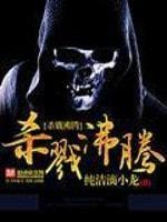 杀戮沸腾封面