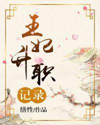 王妃升职记录封面