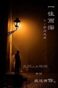 一往而深封面