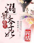 重生：溺宠太子妃封面
