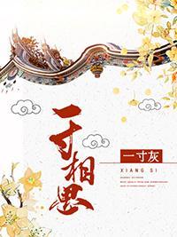 一寸相思一寸灰封面