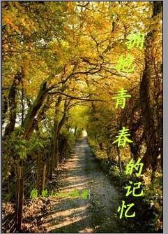 拥抱青春的记忆封面