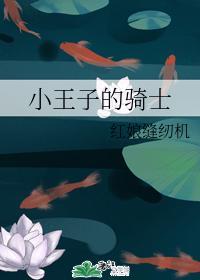 小王子的骑士封面
