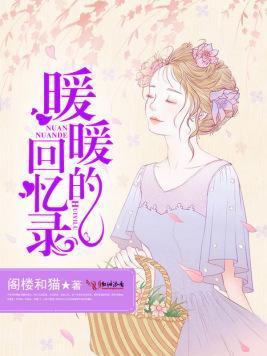 暖暖的回忆录封面