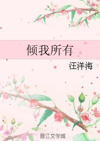 倾我所有封面