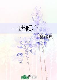 一赌倾心封面