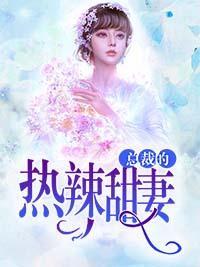 总裁的热辣甜妻封面
