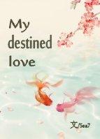 My destined love封面