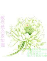 凤凰缭乱：妖孽王爷好痴情封面