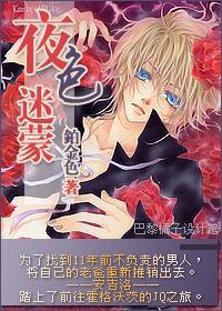 [HP]夜色雾霭封面