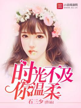 时光不及你温柔封面