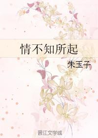 情不知所起封面