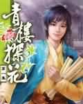 青楼探花封面
