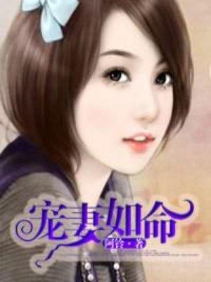 宠妻如命封面