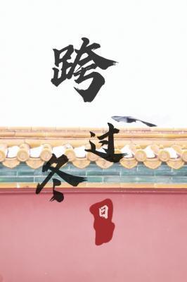 跨过冬日封面
