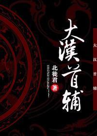 大汉首辅封面