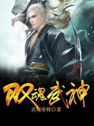 双魂武神封面