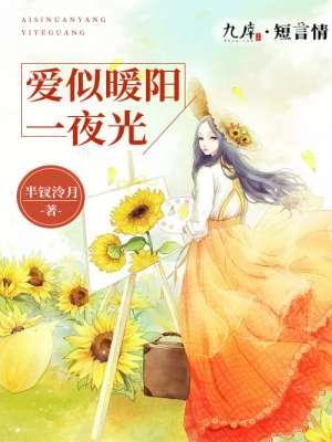 爱似暖阳一夜光封面
