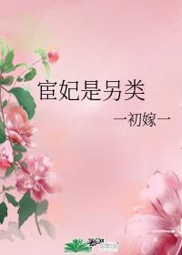 宦妃是另类封面