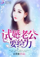试婚老公要给力封面