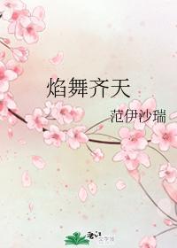 焰舞齐天封面