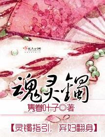 魂灵镯封面