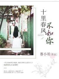 十里春风不如你封面