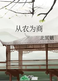 从农为商封面