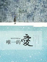 唯一的爱封面