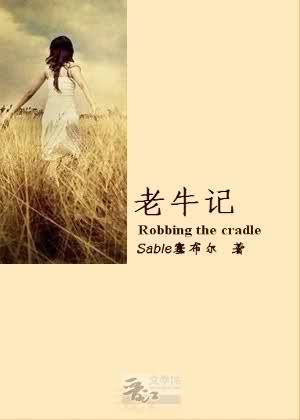 老牛记封面
