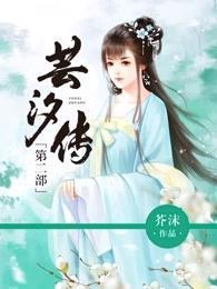 芸汐传小说封面