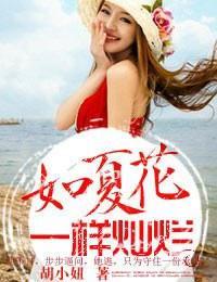 如夏花一样灿烂封面