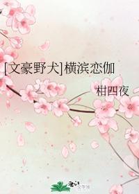 [文豪野犬]横滨恋伽封面