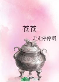 苍苍封面
