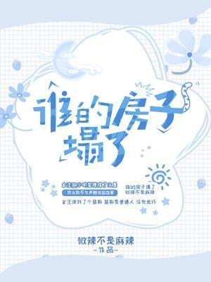 谁的房子塌了封面