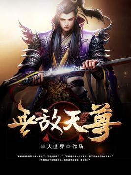 无敌天尊封面