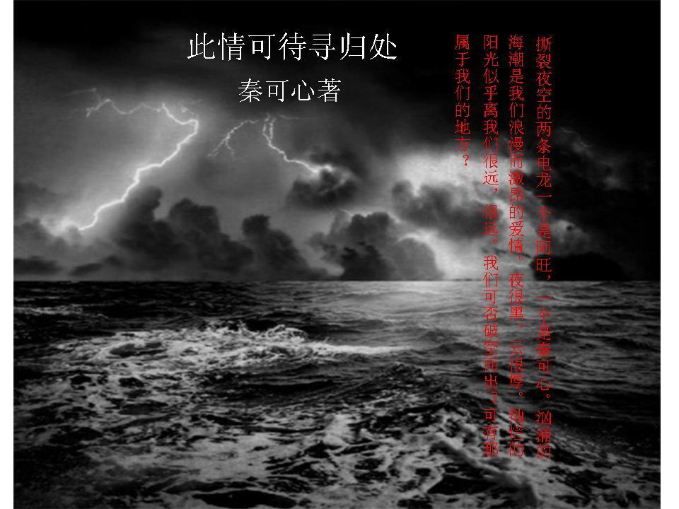 此情可待寻归处封面